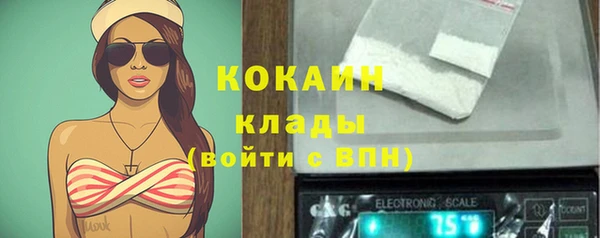 шишки Вязники